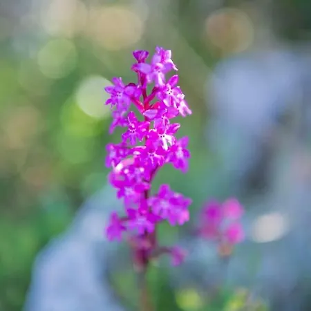 Brezza Marina Panzió 3*