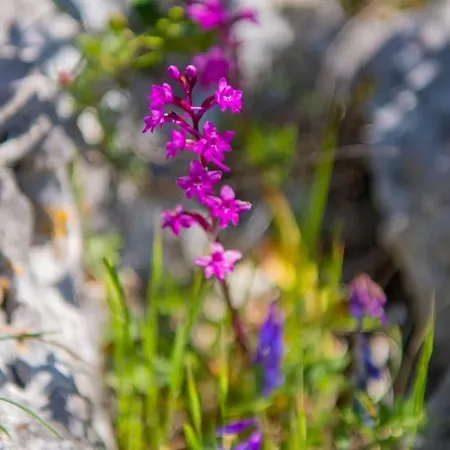 Brezza Marina Panzió